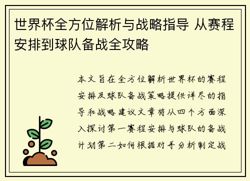 世界杯全方位解析与战略指导 从赛程安排到球队备战全攻略